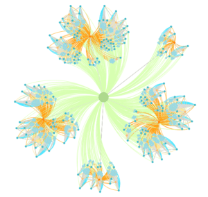 Technical and graphical seo analysis